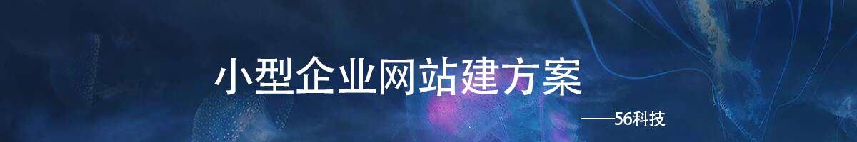 小型企業(yè)網(wǎng)站建方案.jpg