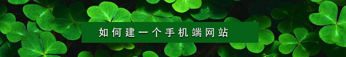 如何建一個(gè)手機(jī)端網(wǎng)站？.jpg