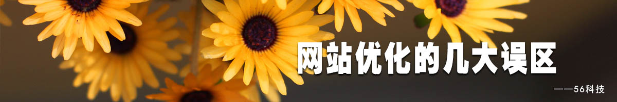 網(wǎng)站優(yōu)化幾大誤區(qū).jpg