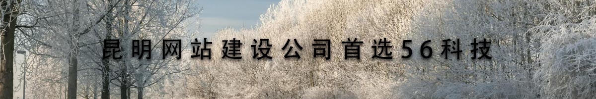 昆明網(wǎng)站建設(shè)公司首選56科技.jpg