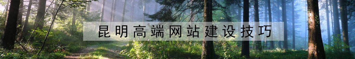 昆明高端網(wǎng)站建設(shè)技巧.jpg
