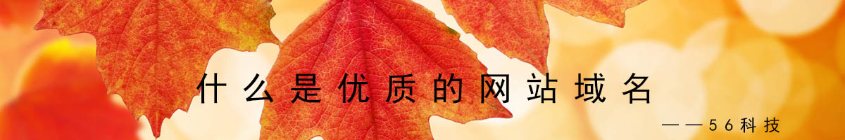什么是優(yōu)質(zhì)網(wǎng)站域名？.jpg