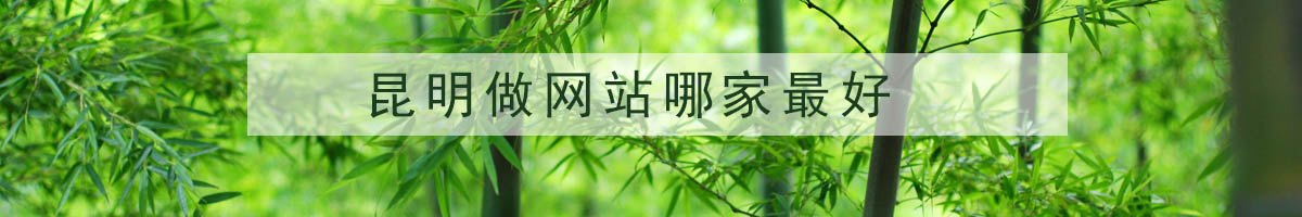昆明做網(wǎng)站哪家最好？.jpg