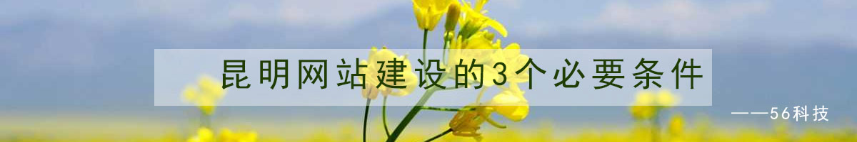 昆明網(wǎng)站建設的3個必要條件.jpg