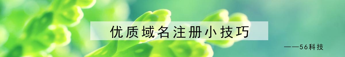 優(yōu)質(zhì)域名注冊(cè)小技巧6.jpg