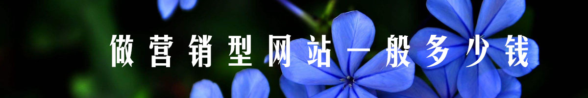做營(yíng)銷型網(wǎng)站一般多少錢.jpg