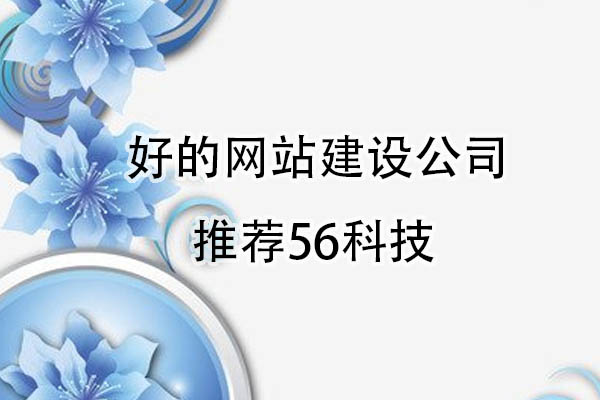 好的網(wǎng)站建設(shè)公司推薦56科技.jpg