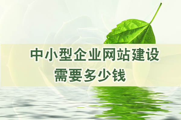 中小型企業(yè)網(wǎng)站建設(shè)需要多少錢.jpg