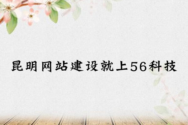 企業(yè)網(wǎng)站建設(shè)哪家好？首選56科技.jpg