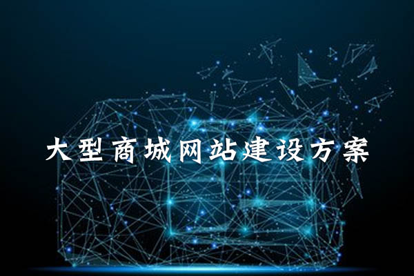 大型商城網(wǎng)站建設(shè)方案.jpg