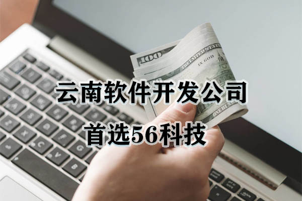 云南軟件開發(fā)公司首選56科技