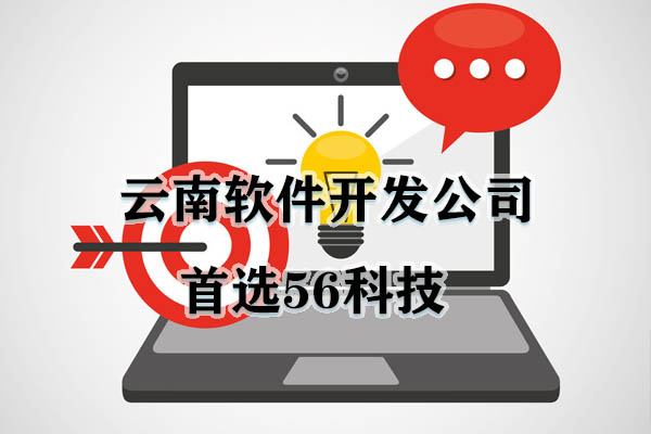 如何選擇一個(gè)好的軟件系統(tǒng)開發(fā)公司