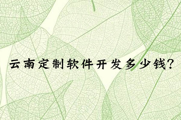 云南定制軟件開(kāi)發(fā)多少錢(qián)？