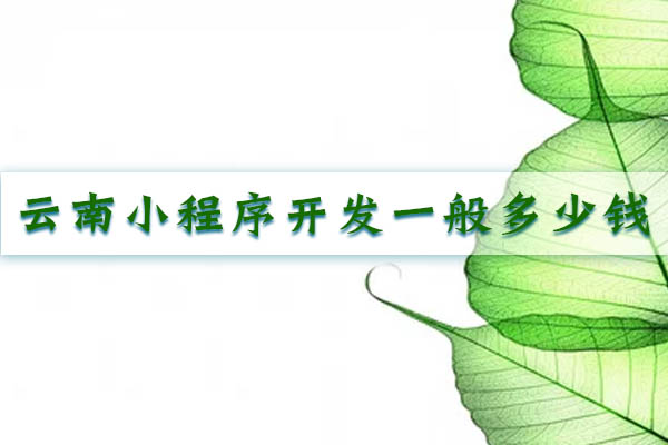 云南小程序開發(fā)一般多少錢