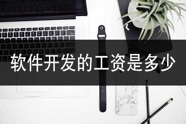 云南軟件開發(fā)的工資一般是多少