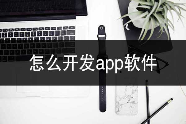 云南怎么開發(fā)app軟件