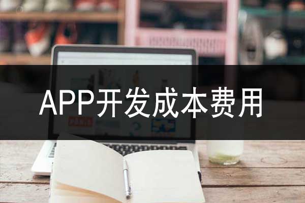 云南app軟件開(kāi)發(fā)的成本是多少