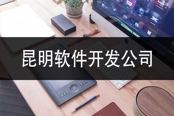 昆明那里有軟件開發(fā)的公司