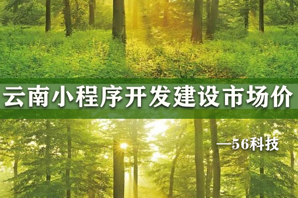 云南小程序開發(fā)建設市場價