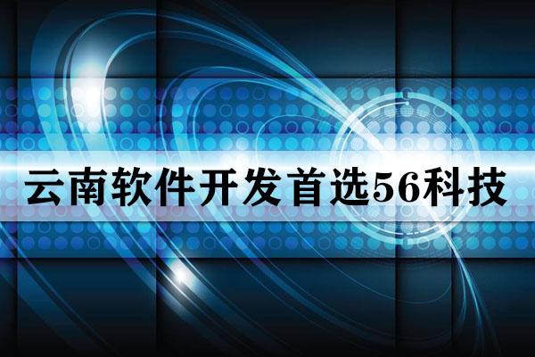 云南軟件開發(fā)公司哪家靠譜