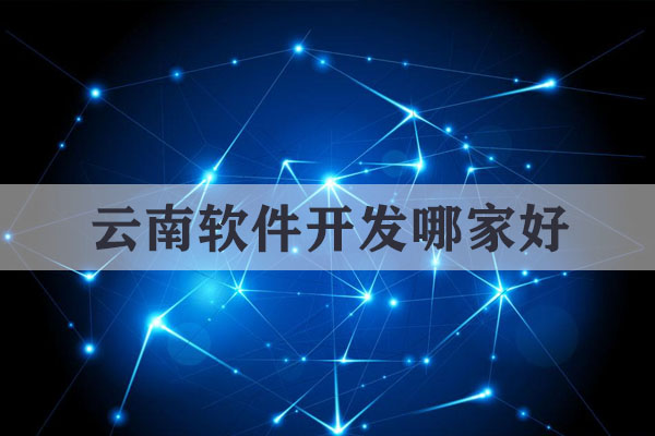 云南軟件開(kāi)發(fā)哪家好