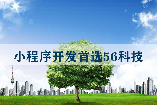 云南做一個模板小程序要多少錢