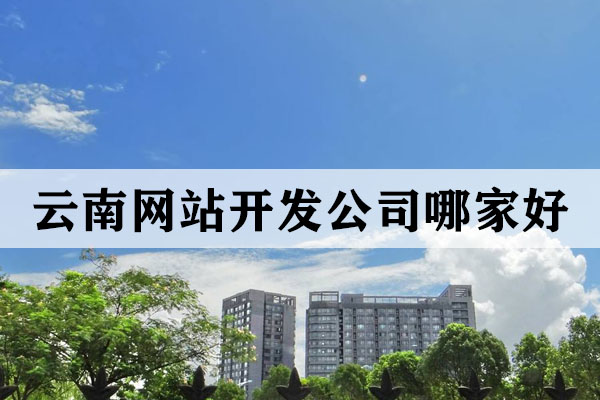 云南網(wǎng)站開發(fā)公司哪家好