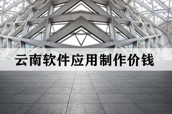 云南軟件應(yīng)用制作價(jià)錢
