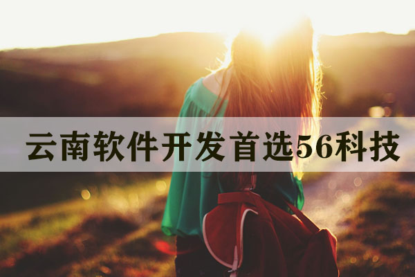 昆明軟件開發(fā)多少錢