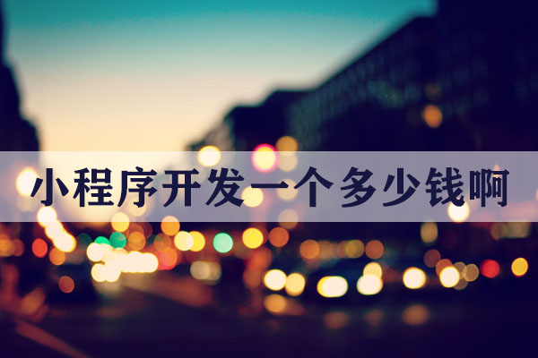 昆明小程序開發(fā)一個(gè)多少錢啊