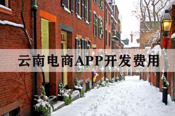 云南做一款電商APP需要多少錢？