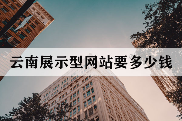 云南展示型網(wǎng)站要多少錢？