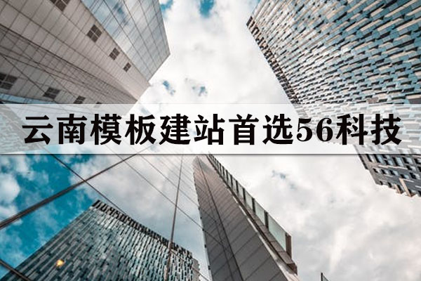 云南專業(yè)APP開發(fā)費用