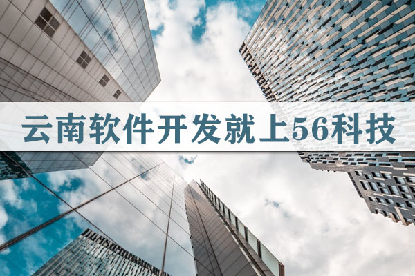 云南軟件開(kāi)發(fā)價(jià)格大概多少錢(qián)