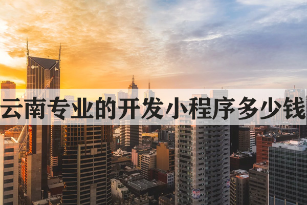 云南專業(yè)的開發(fā)小程序多少錢