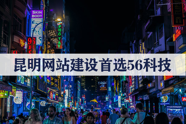 云南專業(yè)網(wǎng)站開發(fā)公司哪家好？