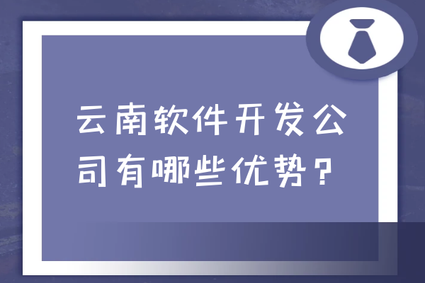 云南軟件開發(fā)公司有哪些優(yōu)勢(shì)？
