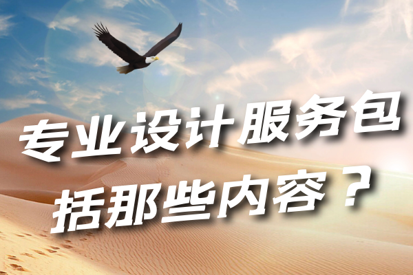 專(zhuān)業(yè)設(shè)計(jì)服務(wù)包括那些內(nèi)容？