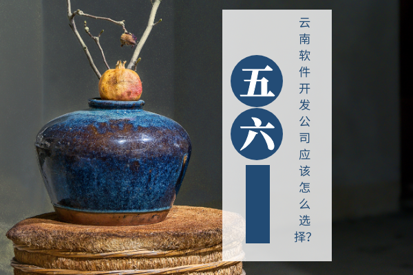 云南軟件開發(fā)公司應(yīng)該怎么選擇？