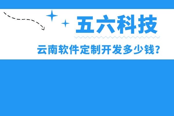 云南軟件定制開發(fā)多少錢？