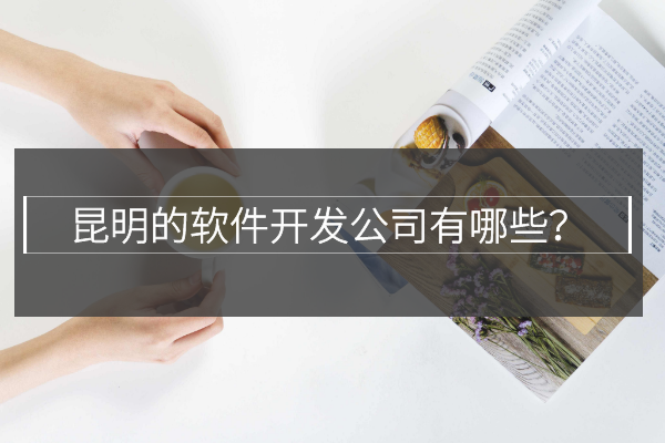 昆明的軟件開發(fā)公司有哪些？
