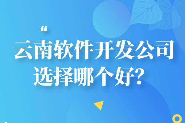 云南軟件開發(fā)公司選擇哪個好？