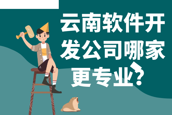 云南軟件開發(fā)公司哪家更專業(yè)？