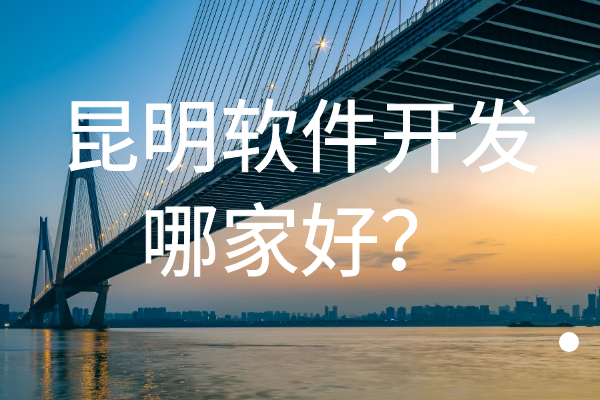 昆明軟件開發(fā)哪家好？