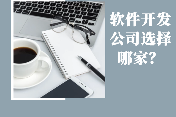 軟件開發(fā)公司選擇哪家？