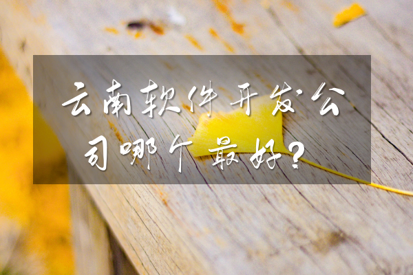 云南軟件開(kāi)發(fā)公司哪個(gè)最好？
