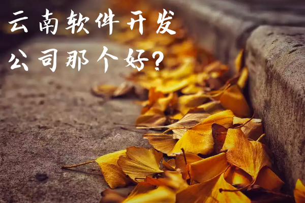 云南軟件開發(fā)公司那個好？