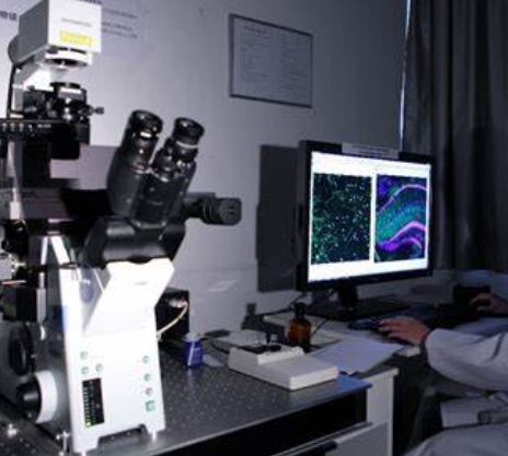精準診斷的新利器：分子影像技術在癌癥早期檢測中的應用