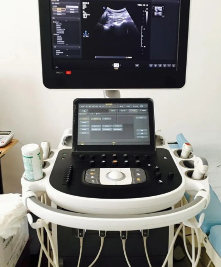 經(jīng)食道超聲心動(dòng)圖